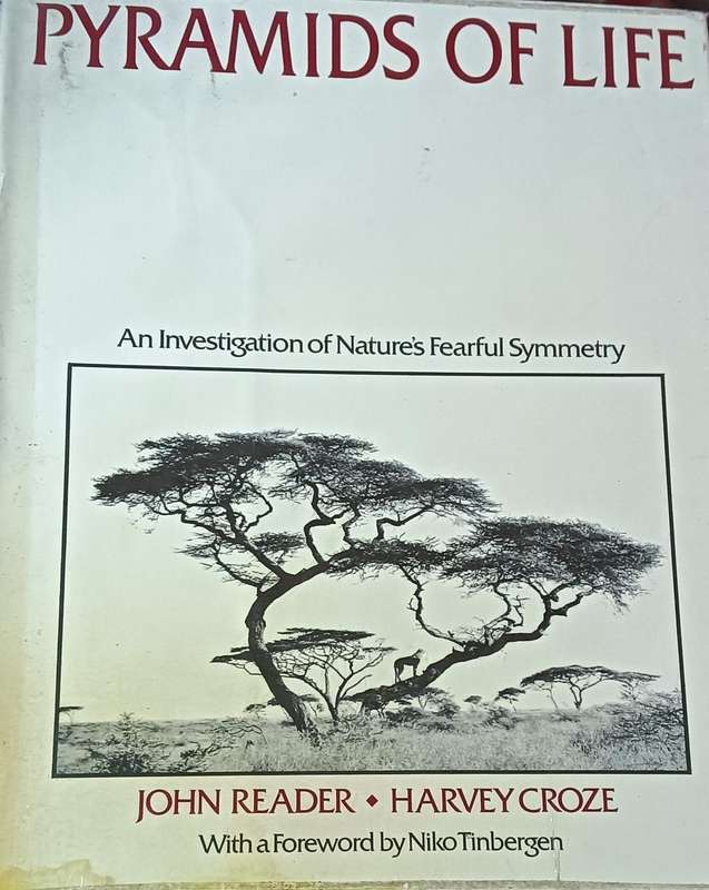 Pyramids of Life - John Reader & Harvey Croze - Hardcover - 222 Pages