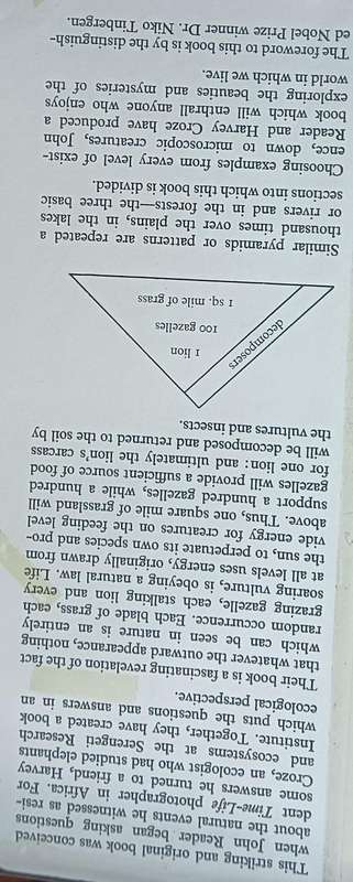 Pyramids of Life - John Reader & Harvey Croze - Hardcover - 222 Pages