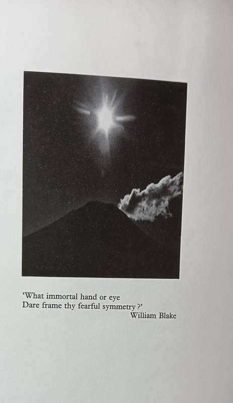 Pyramids of Life - John Reader & Harvey Croze - Hardcover - 222 Pages