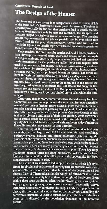 Pyramids of Life - John Reader & Harvey Croze - Hardcover - 222 Pages