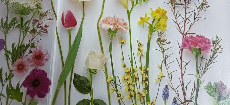 The Step by Step Art of Flower Arranging - Jane Newdick & Neil Sutherland - Hardcover - 124 pages