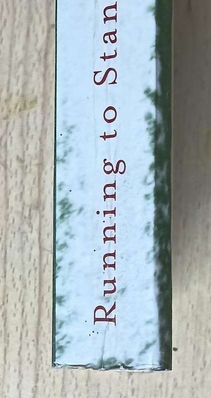 Running to Stand Still - Beanard O'Riain - Softcover - 391 pages