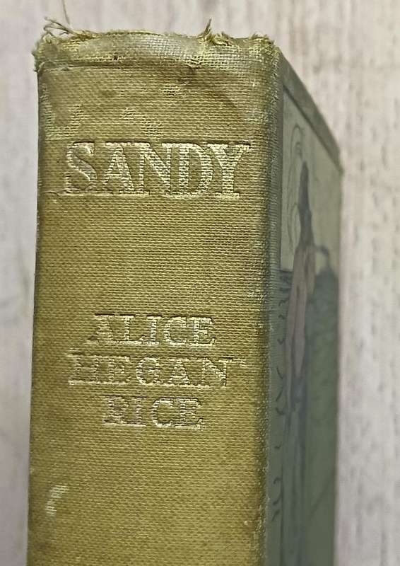 Sandy - Alice Hegan Rice - Hardcover - 254 Pages