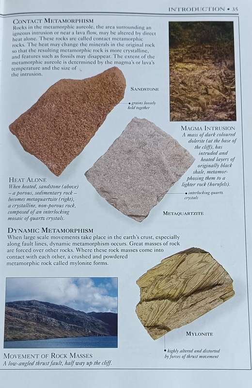 Eyewitness Handbooks Rocks And Minerals - Chris Pellant - Softcover - 256 Pages