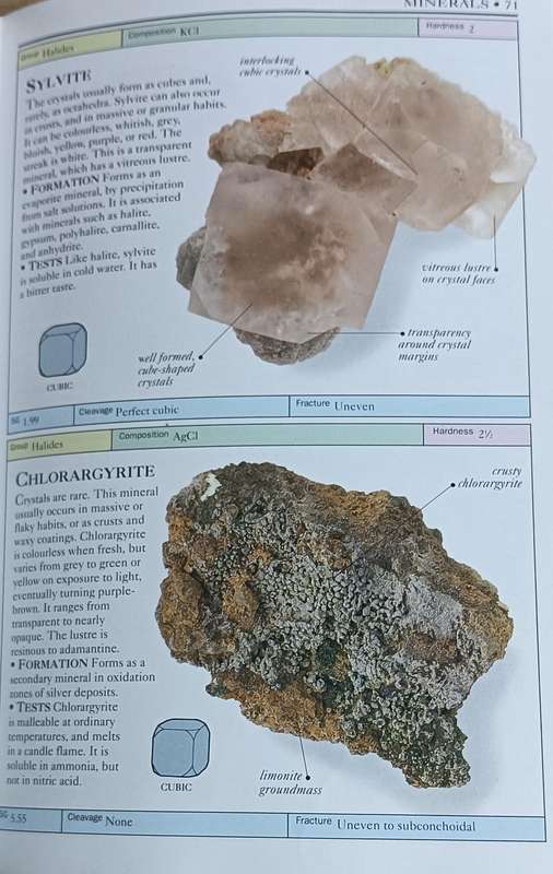 Eyewitness Handbooks Rocks And Minerals - Chris Pellant - Softcover - 256 Pages