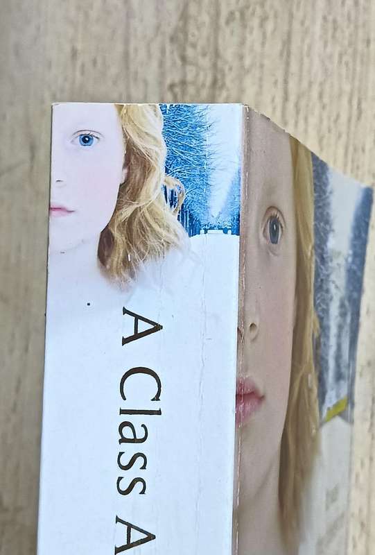 A Class Apart - Susan Lewis - Softcover - 576 pages