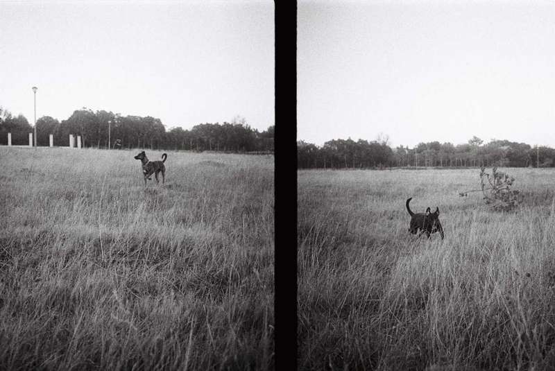 Olympus Pen EE-2 - Film Tested