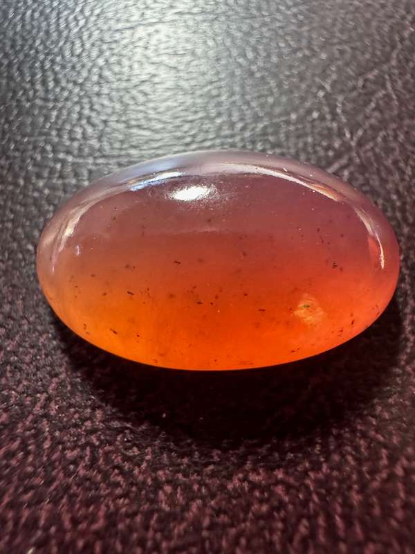 Transvaal Jade rare red/pink variety