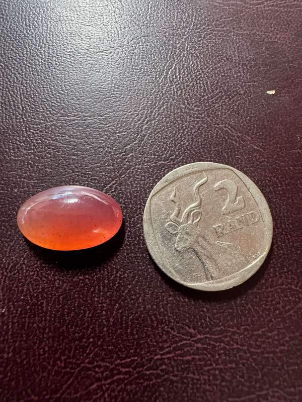 Transvaal Jade rare red/pink variety