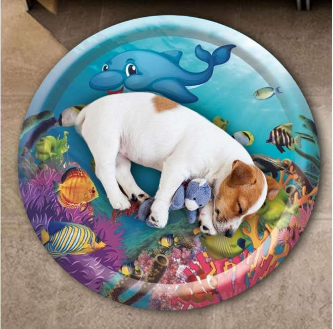 Baby Inflatable Water Play