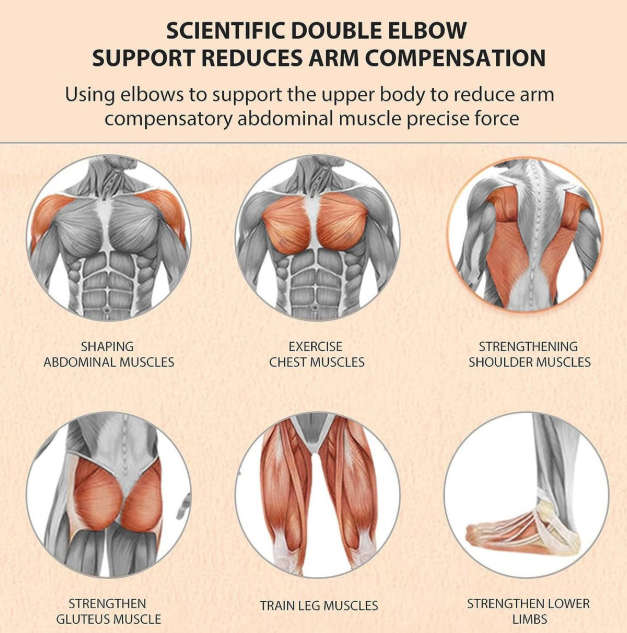 Ab Roller with Elbow Support