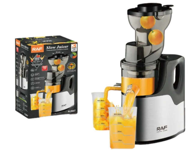 Silver Slow Press Juicer