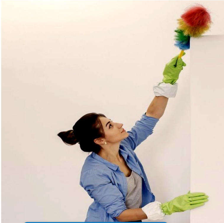Magic Duster - Synthetic Multi-Colour Cleaning Feather Duster