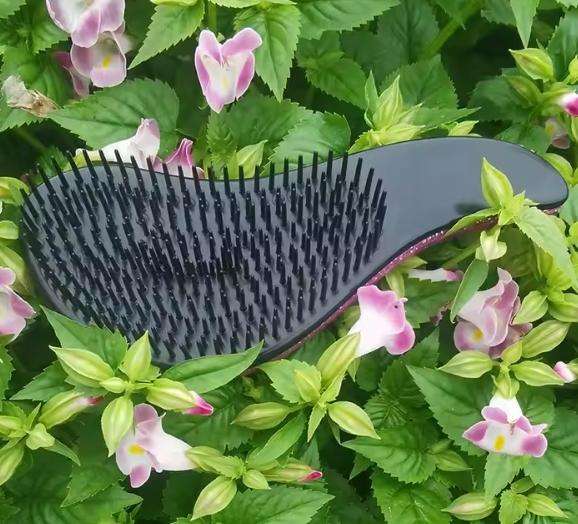 Hair Comb Detangler Straightener Hairbrush for Women ABS Anti-Static Anti Tangle Detangling