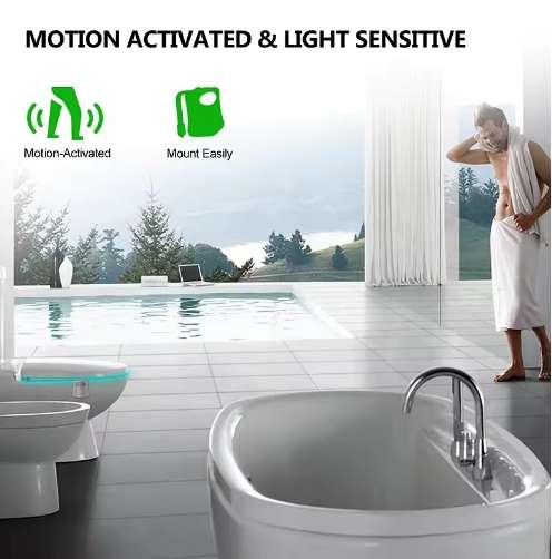 LED Toilet Nightlight