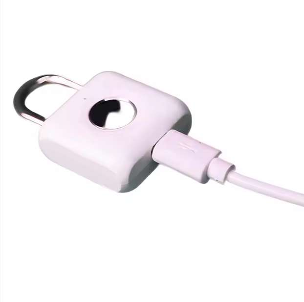 Standalone Fingerprint Rechargeable Padlock with LED Indicator