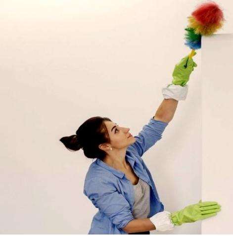 Magic Duster - Synthetic Multi-Colour Cleaning Feather Duster