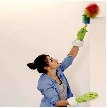 Magic Duster - Synthetic Multi-Colour Cleaning Feather Duster