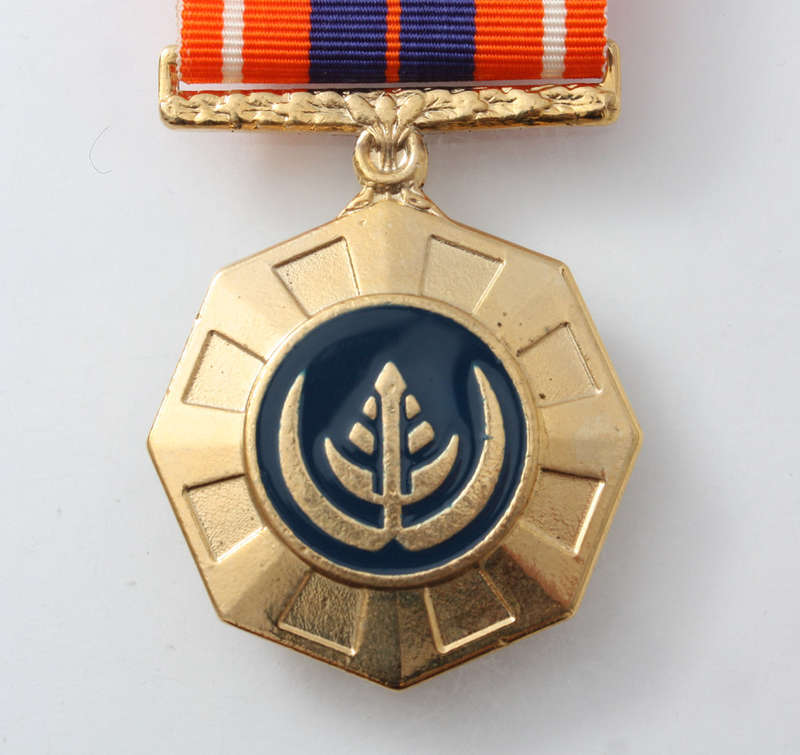 PRO PATRIA MEDAL - FULL SIZE - SADF