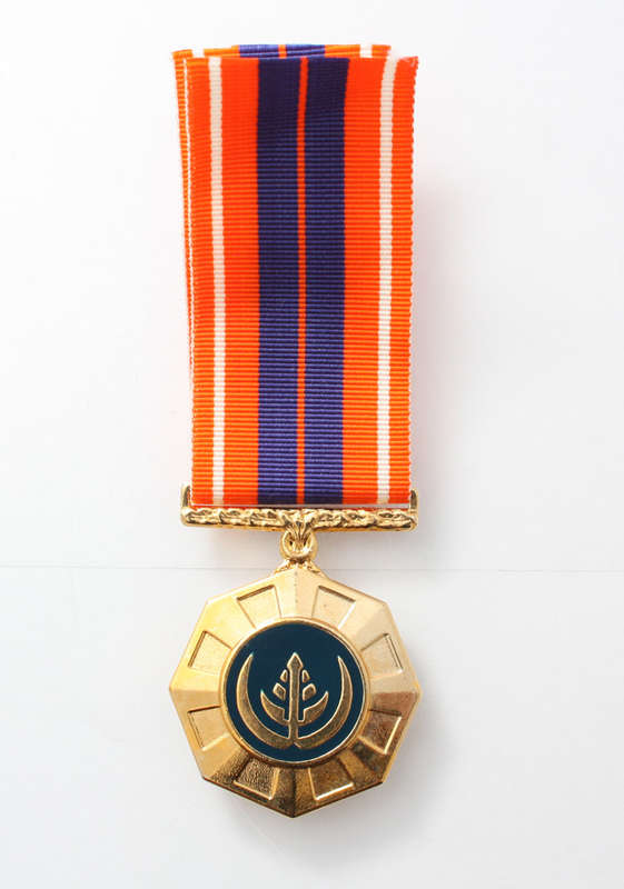 PRO PATRIA MEDAL - FULL SIZE - SADF