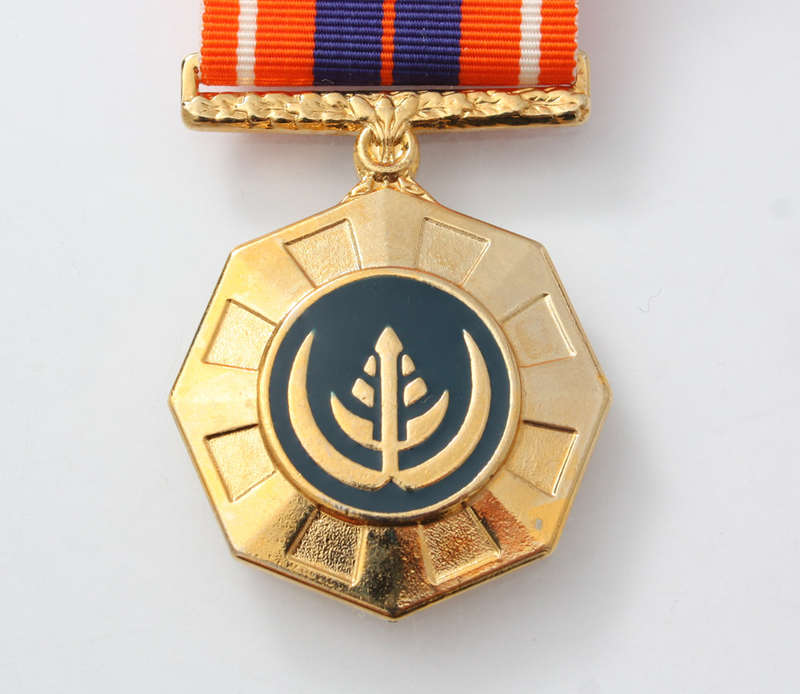 PRO PATRIA MEDAL - FULL SIZE - SADF