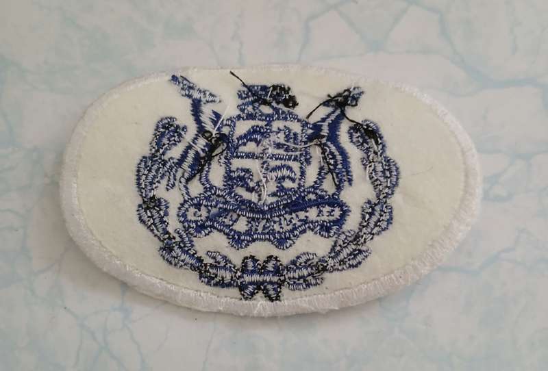 SA Navy Warrant Officer Class I Rank Badge