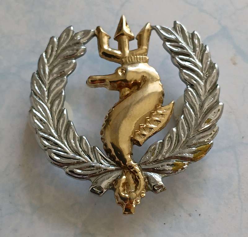 SA Navy Independent Ships and Air/Sea Rescue Flotilla Breast Badge