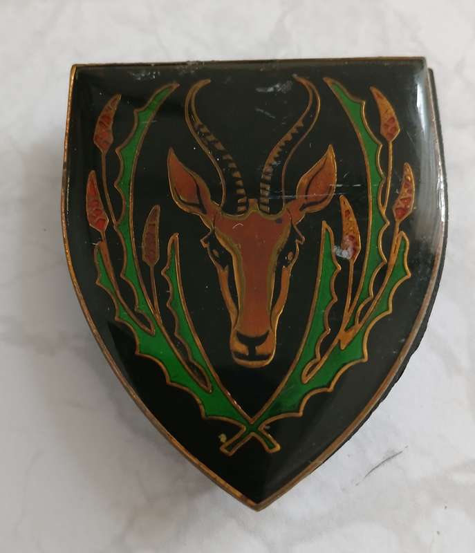 5 SA Infantry Battalion Flash