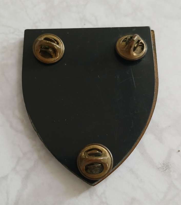 5 SA Infantry Battalion Flash