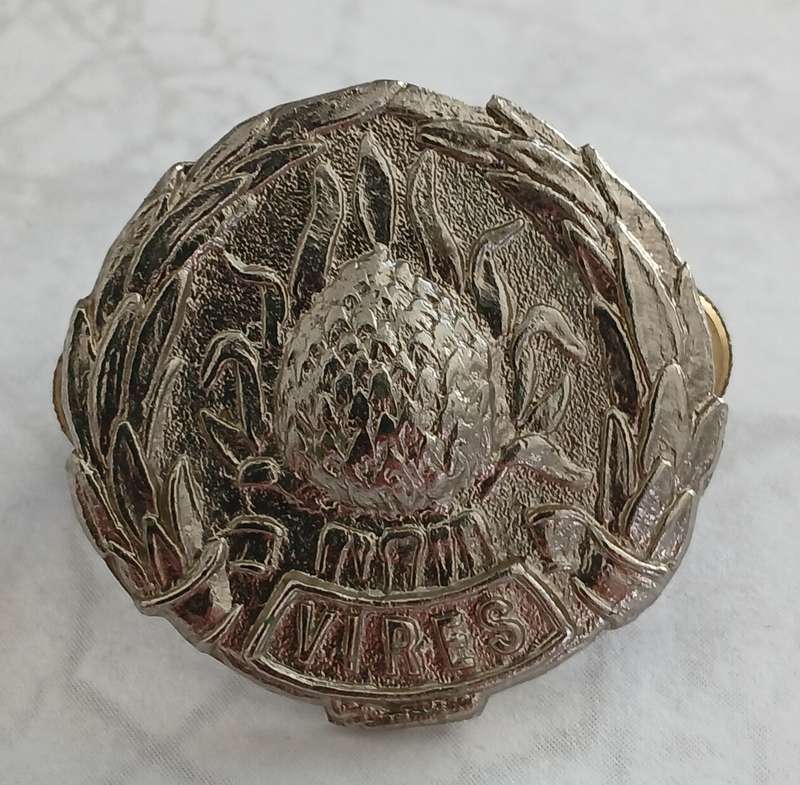 Regiment Boland Beret Badge