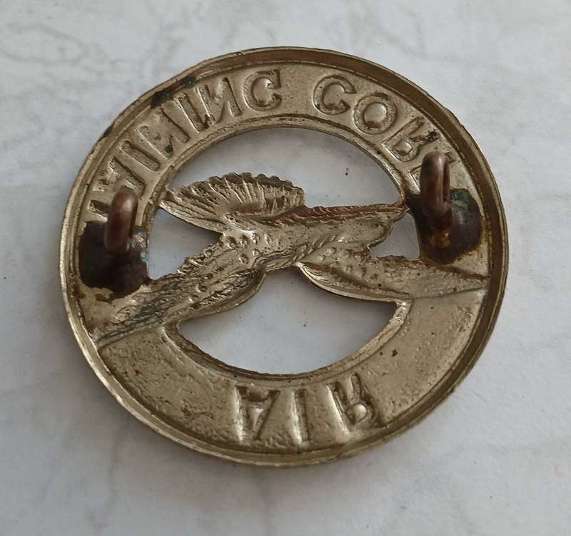 Air Training Corps Badge