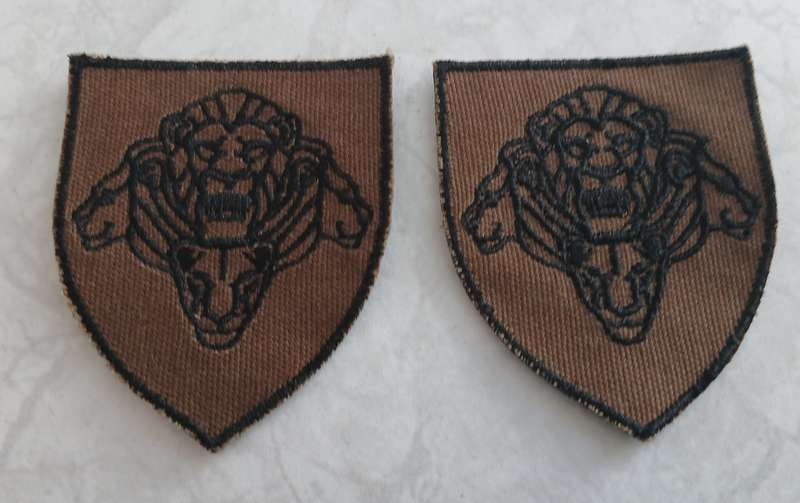 Pride of Lions Shoulder Flashes x2