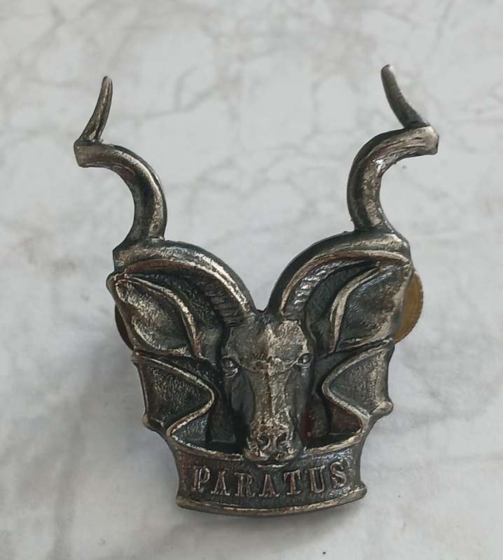 SWATF Area Force Badge