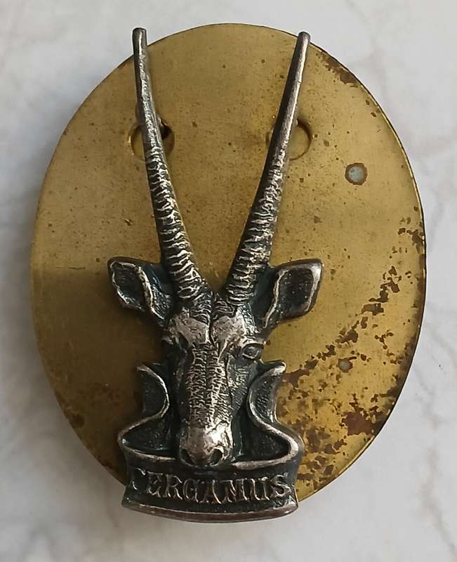 SWATF HQ Cap Badge