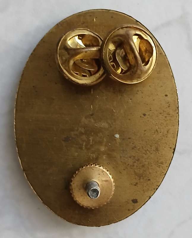 SWATF HQ Beret Badge