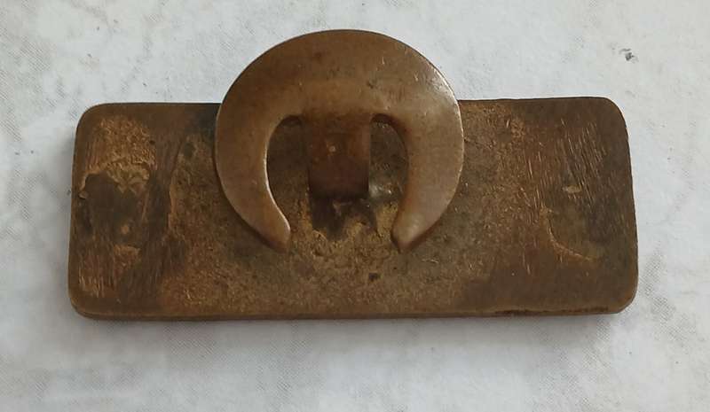 Usher Badge