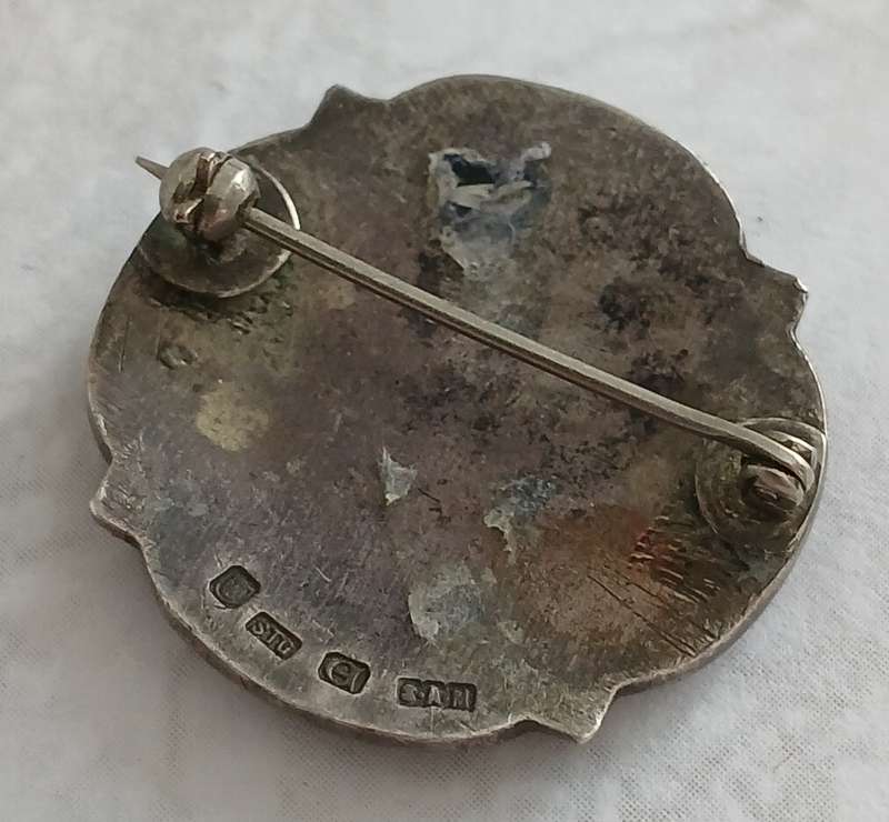 Southern Rhodesia Medical Council Lapel Badge