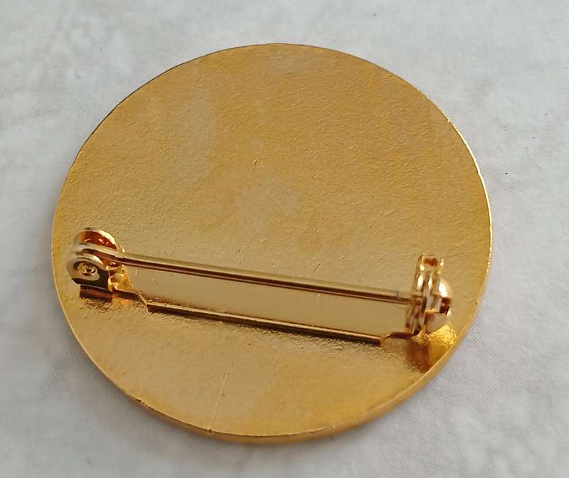 United States Antarctic Program Lapel Badge