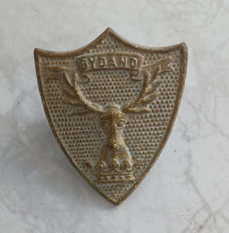 CTH Other Ranks Sporran Badge