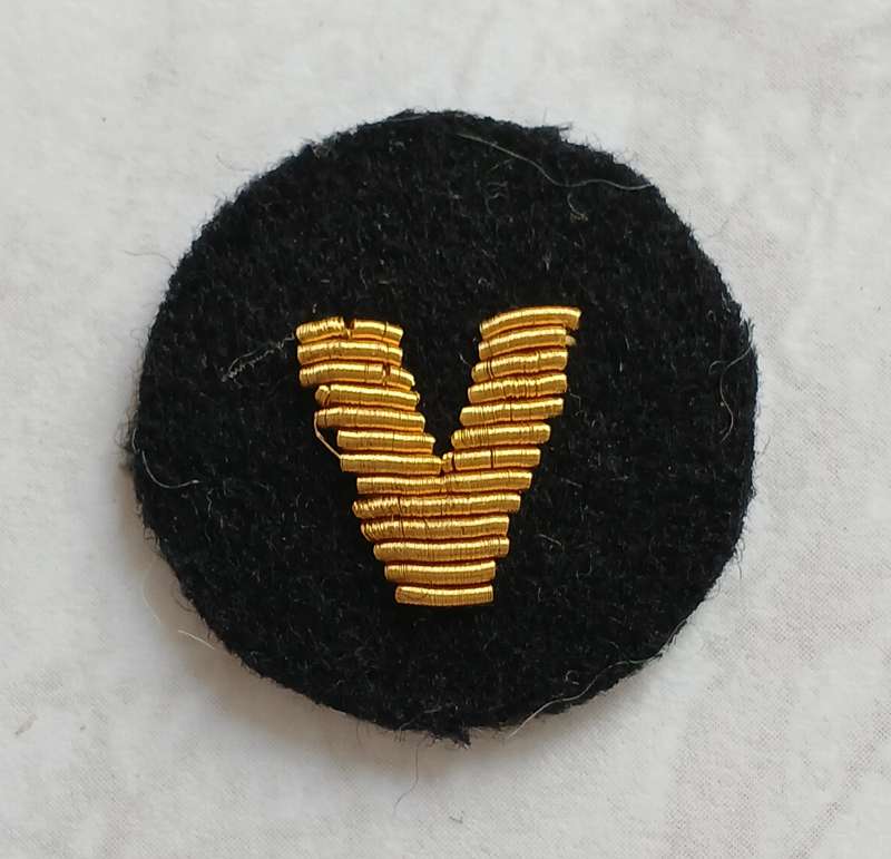 SA Navy Volunteer CF Officers Insignia