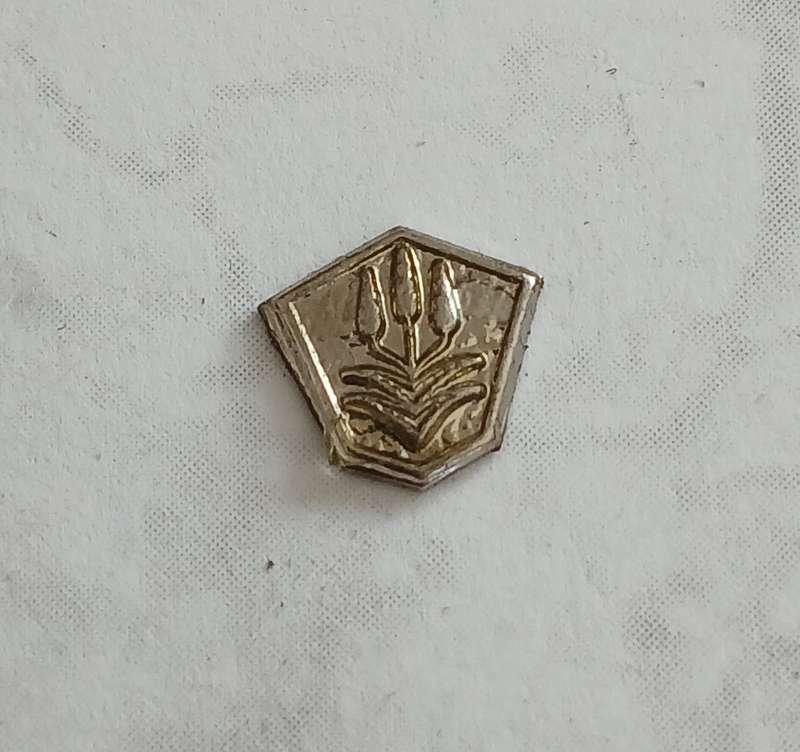 Service clasp for medal bar. South African Police Medal for Combatting Terrorism