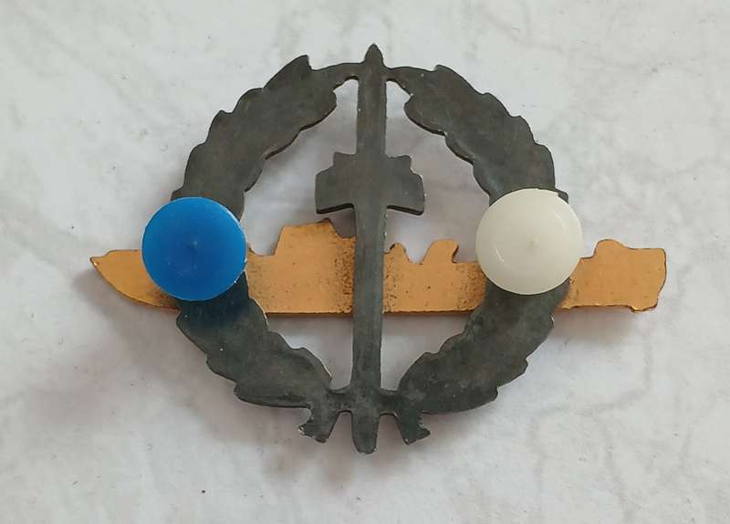 S.A. Navy Strike Craft Flotilla Breast Badge