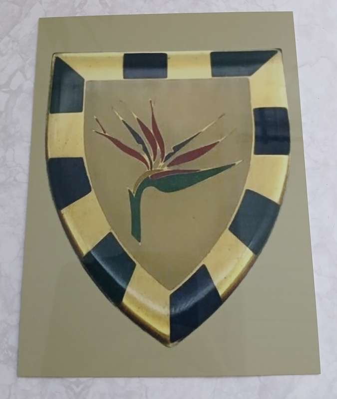 6 SA Infantry Battalion Insignia
