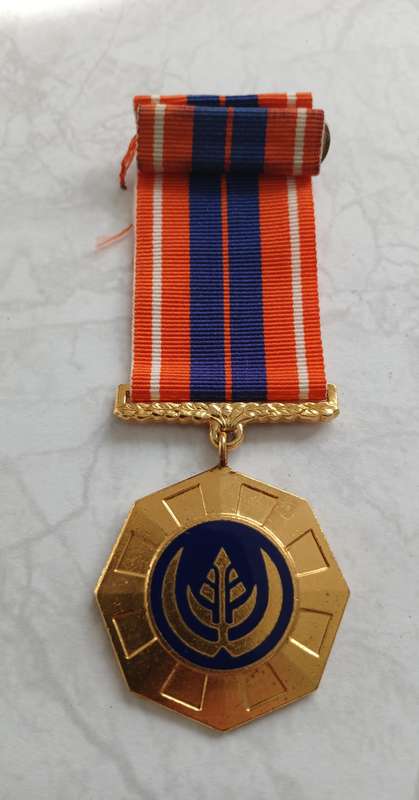 Pro Patria Medal - loose
