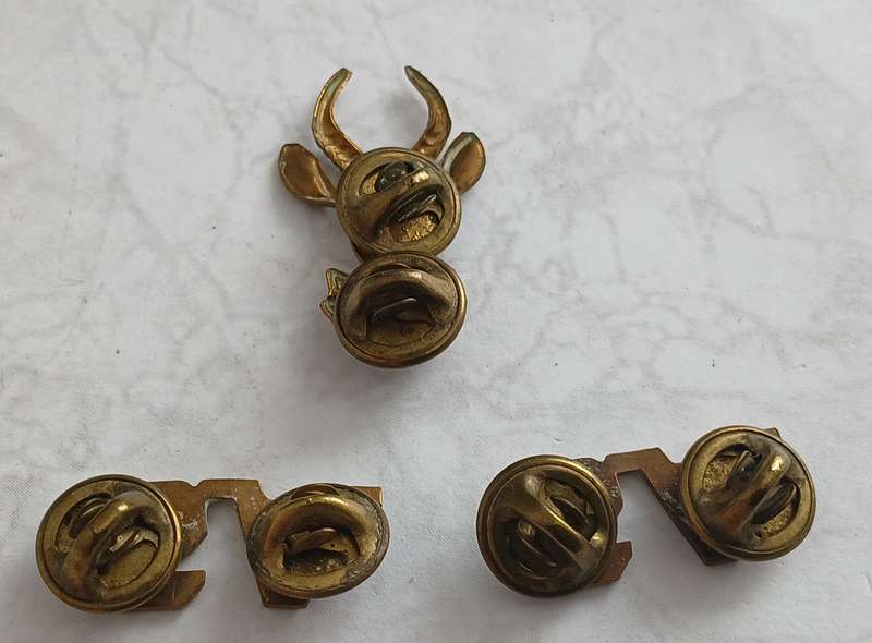 SA Infantry Corps Collar Badge & SA Titles
