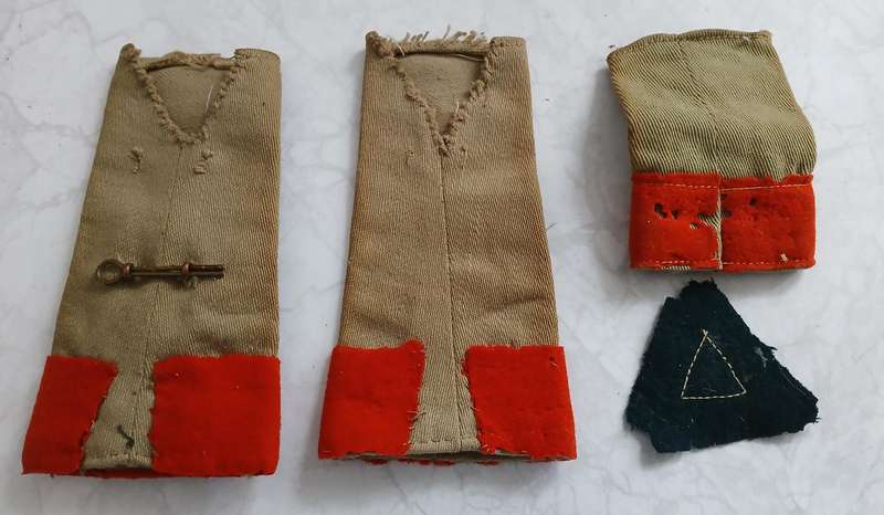 SA WW2 Insignia