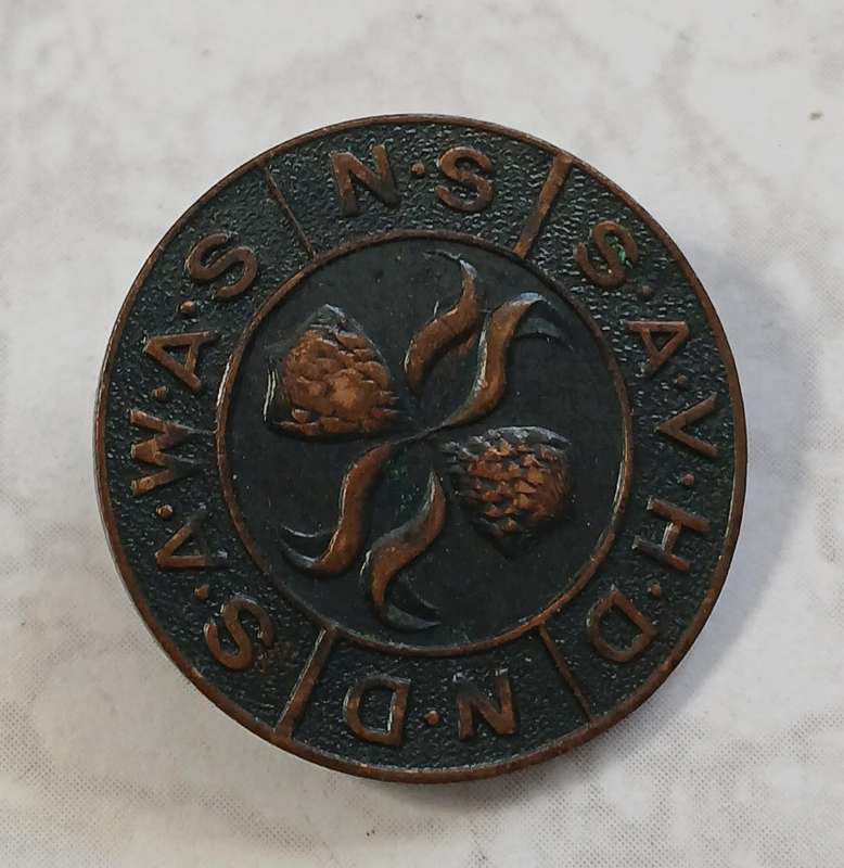 SAWAS / SAVHD Lapel Badge