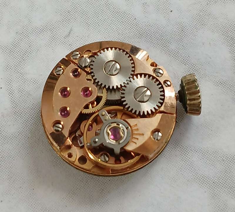 Bergana Ladies Wrist Watch Movement