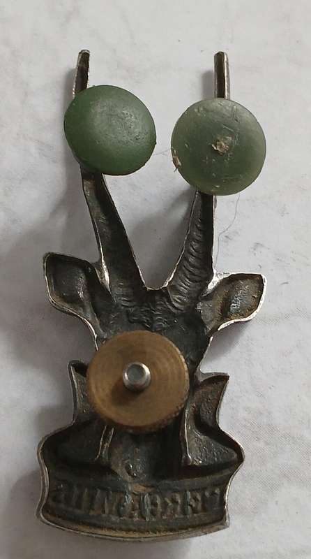 SWATF HQ Cap Badge