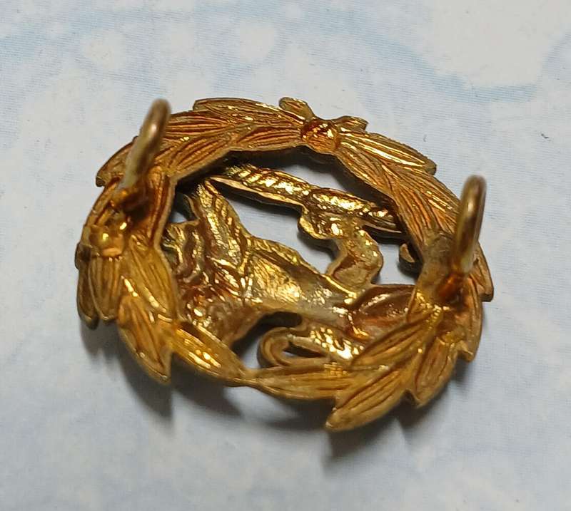 Rhodesia BSAP Rank Insignia